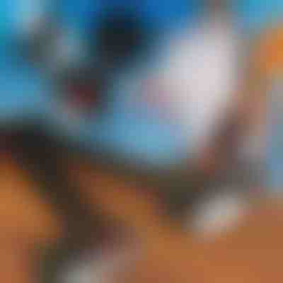 Ρυθμιζόμενος ιμάντας ώμου μεταφοράς πέδιλων σκι | SKITREK