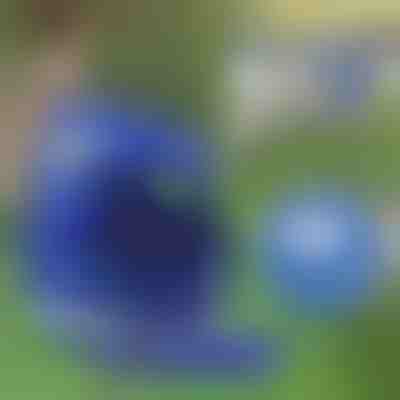 Ρυθμιζόμενη ανακλαστική ζώνη και λουρί για κατοικίδια | LEASHNGO