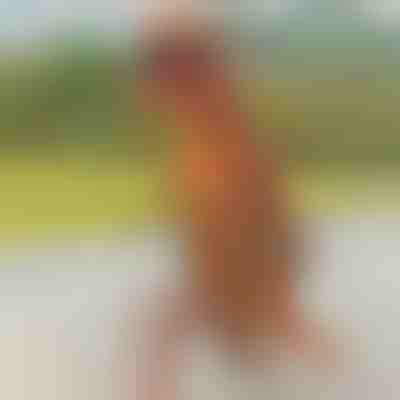 Φουσκωτό κοστούμι δεινοσαύρου | TREXCOS