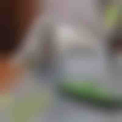 Σκούπα αφαίρεσης τριχών κατοικίδιων | PAWMOP