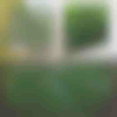 Διακοσμητικός και πρακτικός φράχτης για βεράντα και κήπο | GREENFENCE